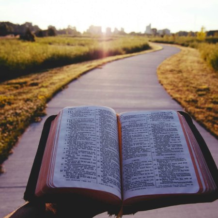 Bible ouverte sur un chemin en pleine nature
